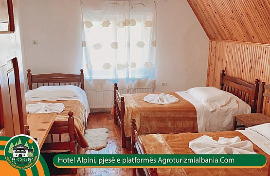 Hotel Alpini Lepushe, Bjeshket E Kelmendit, Akomodim Te Hotel Alpini, Ushqime Tradicionale Shkoder, Maja E Vajushës, Shkoder Albania